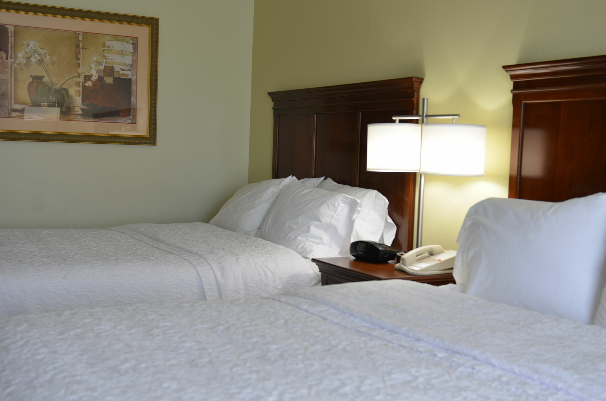 Hampton Inn & Suites Frederick/Fort Detrick מראה חיצוני תמונה